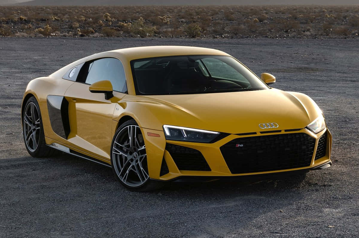 Audi R8